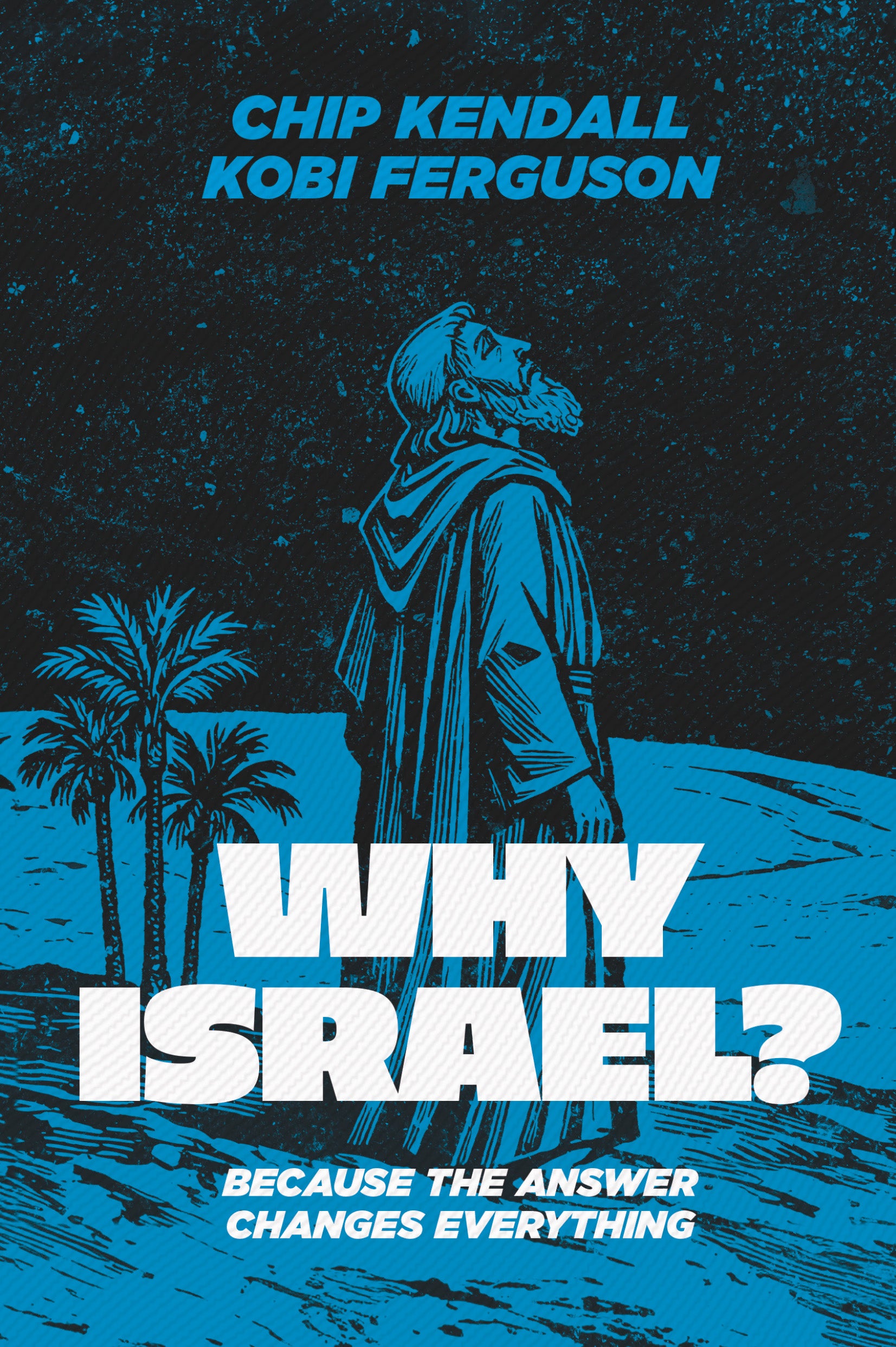 Book cover of 'Why Israel?' by Chip Kendall and Kobi Ferguson with a silhouette of a man and palm trees.