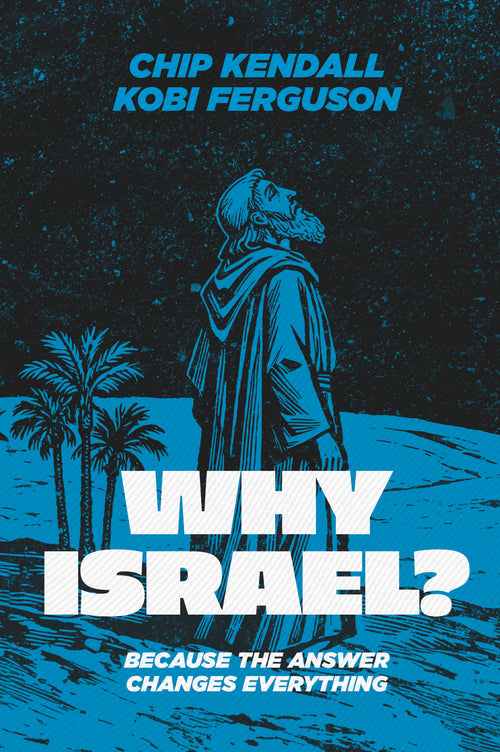 Book cover of 'Why Israel?' by Chip Kendall and Kobi Ferguson with a silhouette of a man and palm trees.